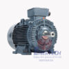 Động Cơ Điện 3 Pha Vỏ Gang ESC 2 1 dong co dien 3 pha enertech esc 0 1