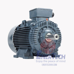 Động Cơ Điện 3 Pha