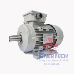 Động Cơ Điện 3 Pha Vỏ Nhôm ESA