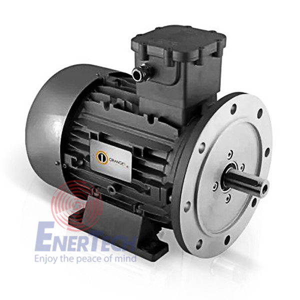 Động Cơ Điện Phòng Chống Cháy Nổ EX D