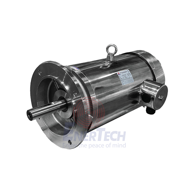 Động Cơ Điện 3 Pha Vỏ Inox ESI