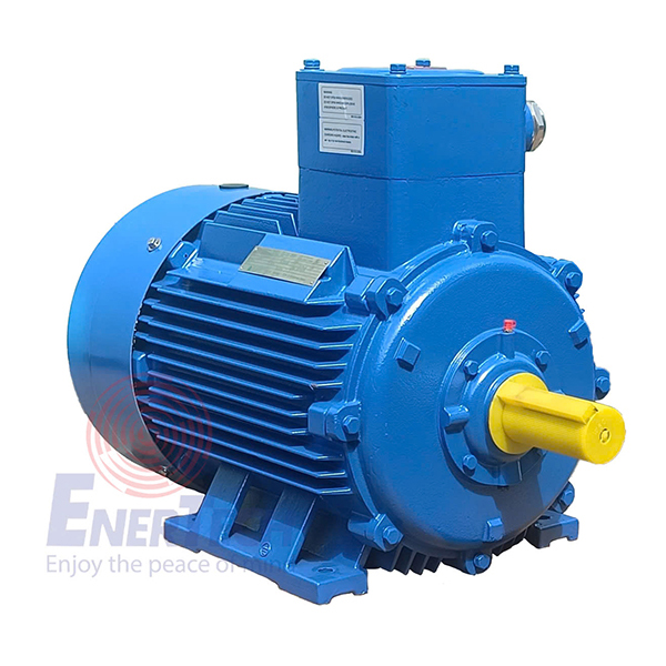 Động Cơ Điện Phòng Chống Cháy Nổ Bevi